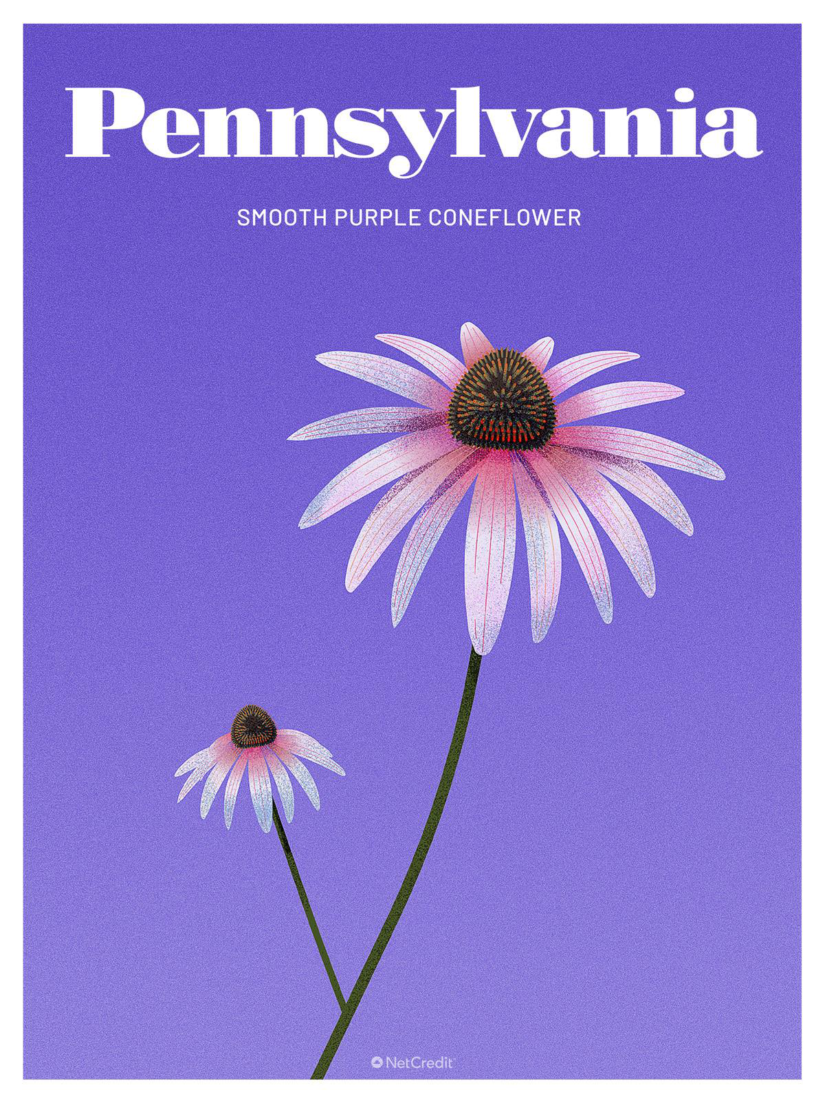 看看一些由国家美国濒危植物 乐动橄榄球 乐动独赢 乐动足球直播